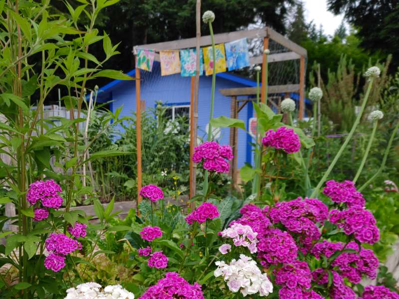 Farm Stand