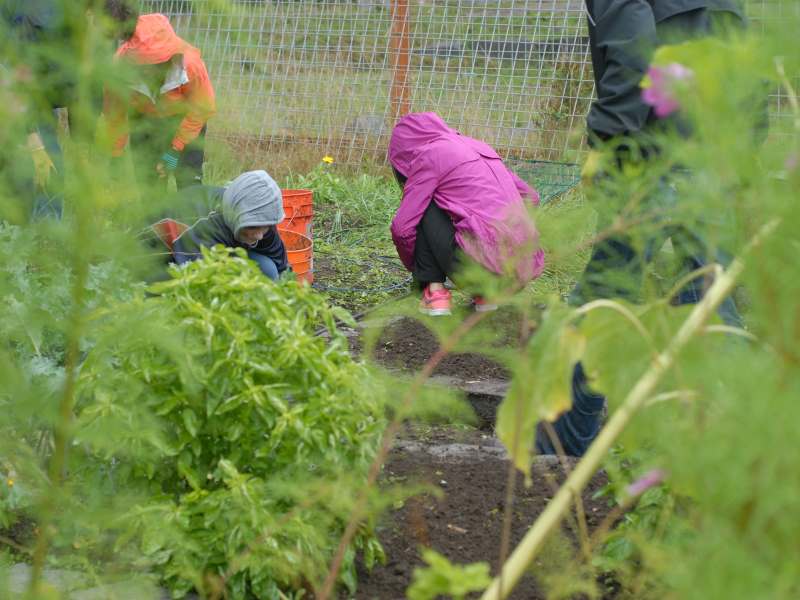 Day of Caring in School Garden