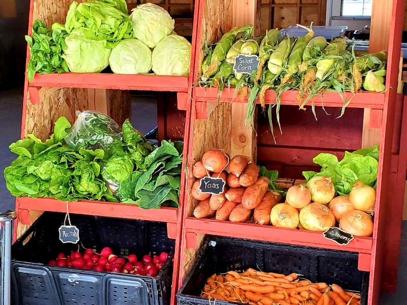 Farm Stand Shelves with Veggies