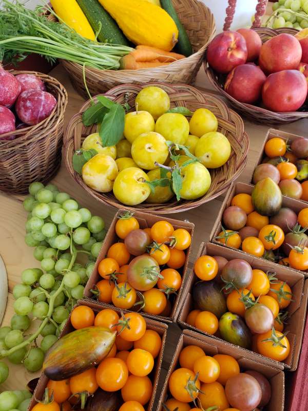 Farm Stand Veggies and Fruits