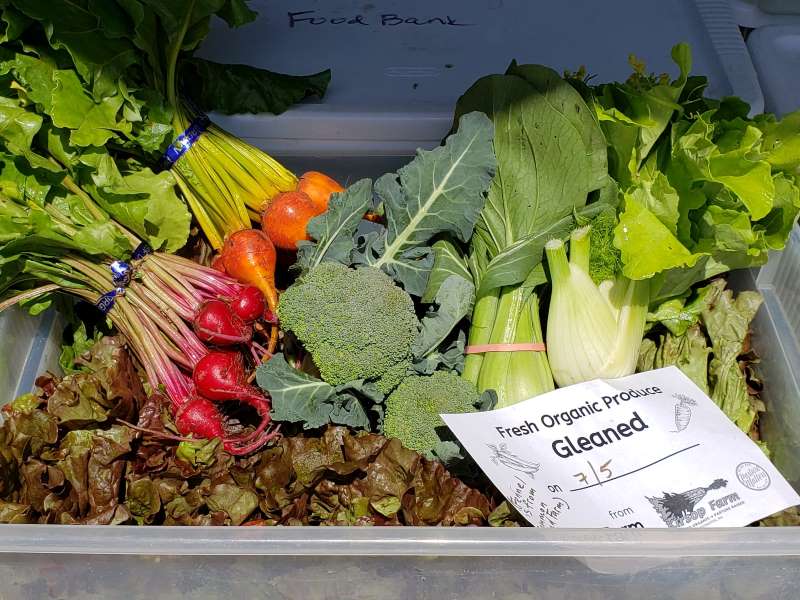 Farm Stand