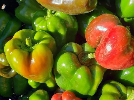 Peppers Gleaned from Muirhead Farm