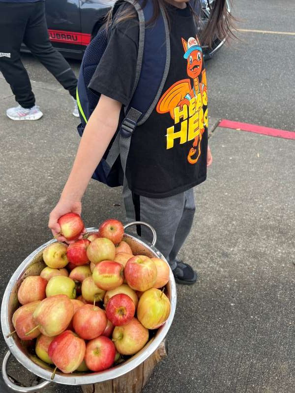 Providing Healthy Snacks at Schools