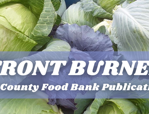 Summer 2023 Newsletter: The Front Burner