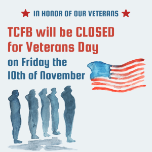 Closed Veterans Day 2023 Graphic Closed for Veterans Day on Nov 10 2023 Graphic with Watercolor Art Silhouette of 5 Soldiers Saluting