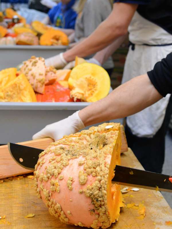 Squash Prep for Thanksgiving