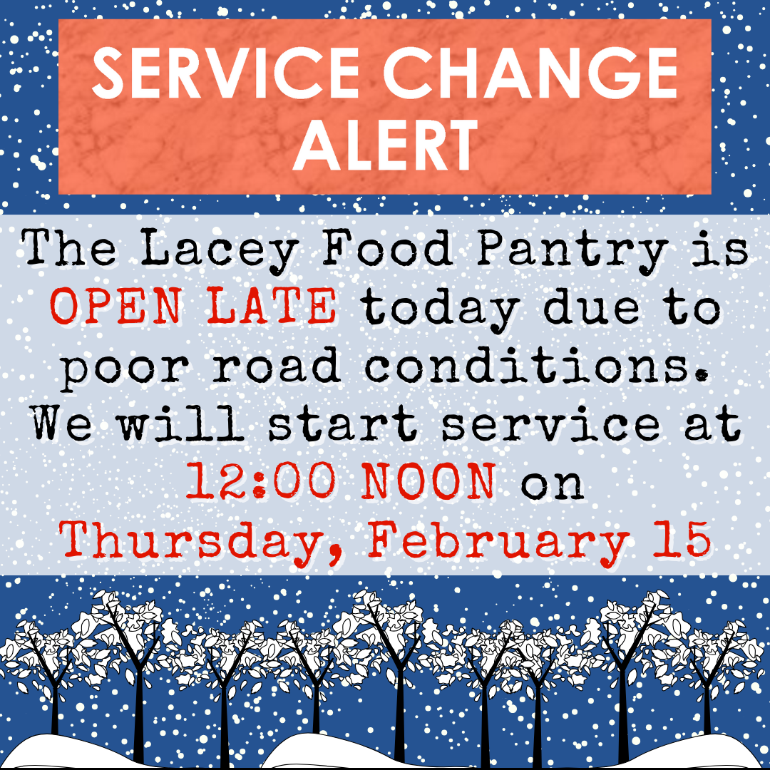 Lacey Snow Service Update