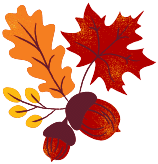 Thanksgiving Information Fall Leaves Graphic