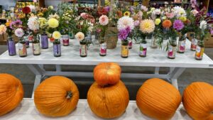 Farm Stand Flowers Pumpkins 2025