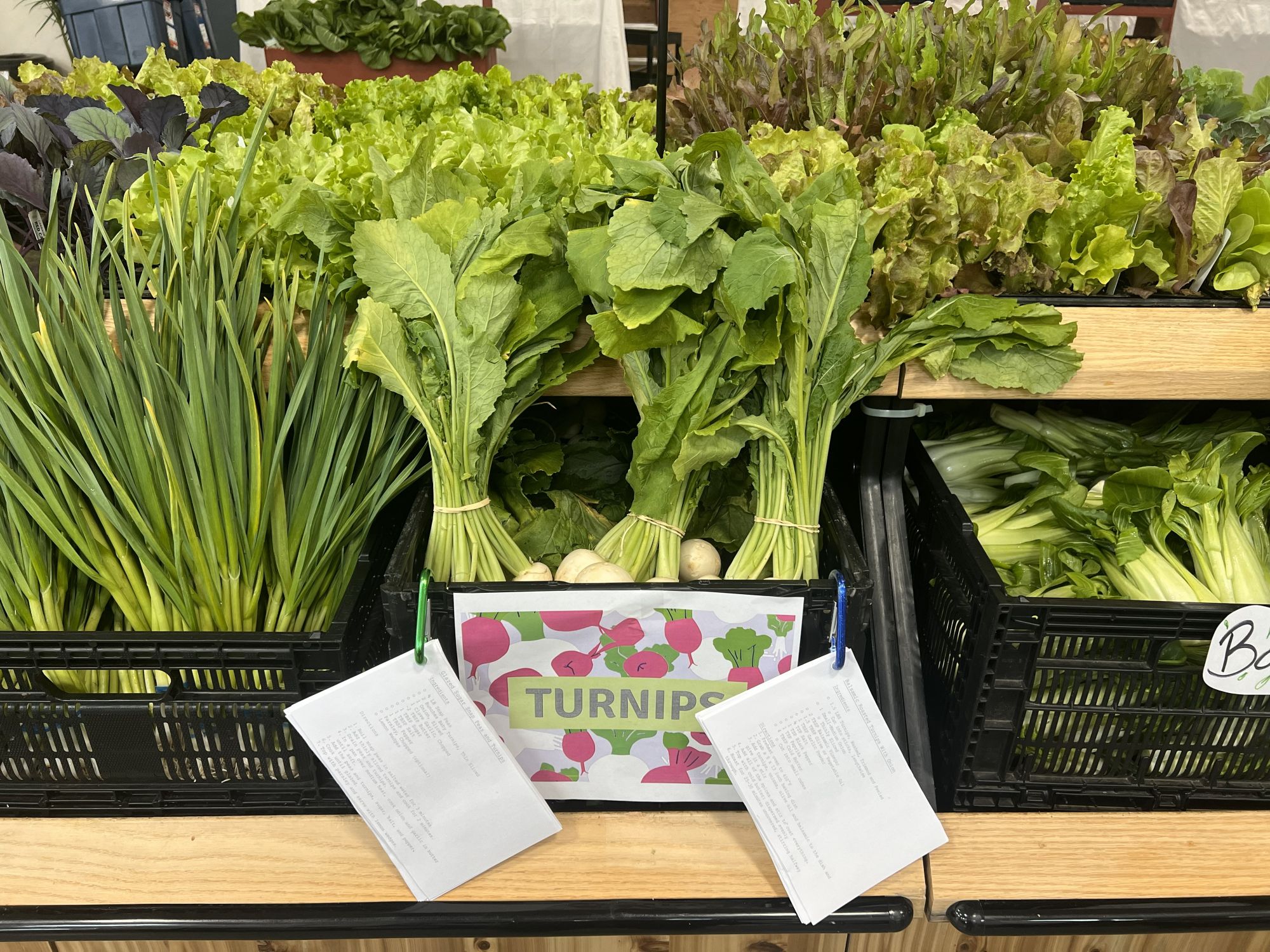 Farm Stand Turnips 2024